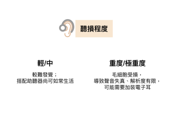 听损为什么要及早介入？ 从科学角度带看没有早期介入的结果